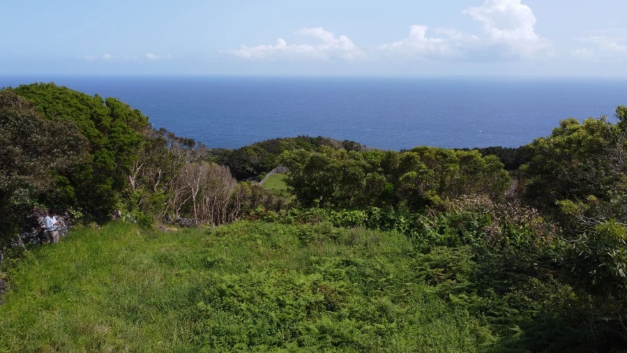 Terreno Agricola ou Rústico para Venda em Calheta de Nesquim Foto 17