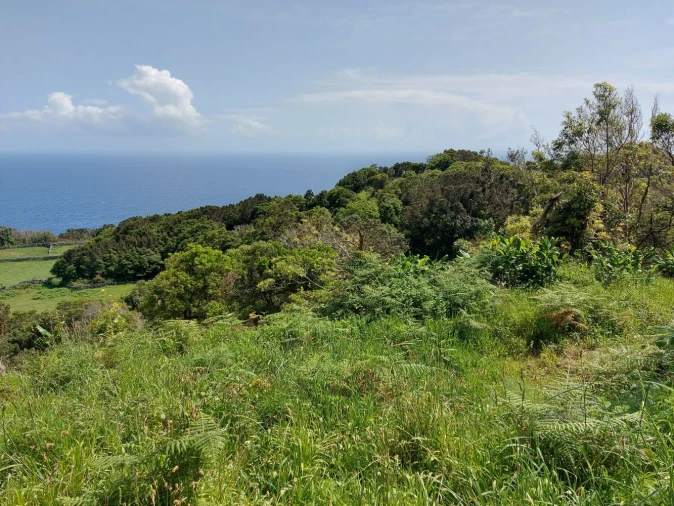 Terreno Agricola ou Rústico para Venda em Calheta de Nesquim Foto 2