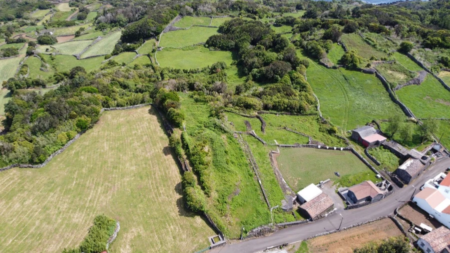 Terreno Agricola ou Rústico para Venda em Calheta de Nesquim Foto 8