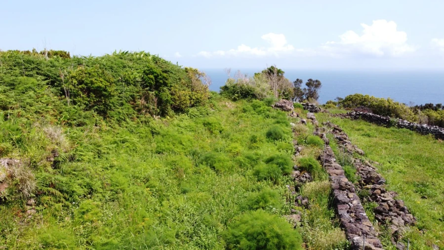 Terreno Agricola ou Rústico para Venda em Calheta de Nesquim Foto 9