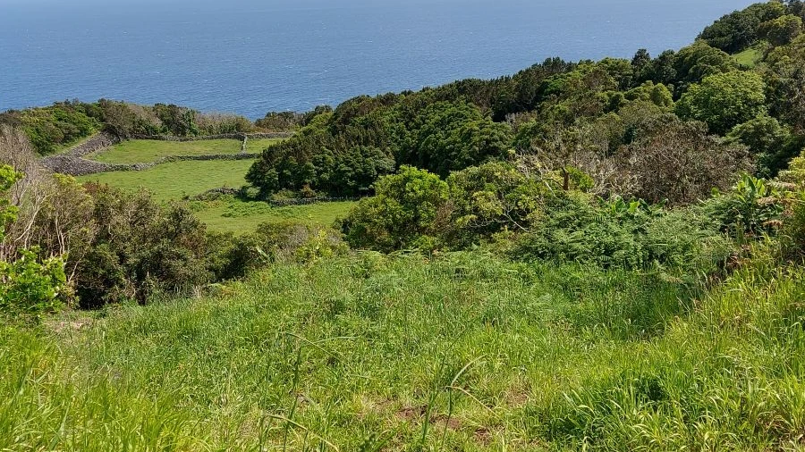 Terreno Agricola ou Rústico para Venda em Calheta de Nesquim