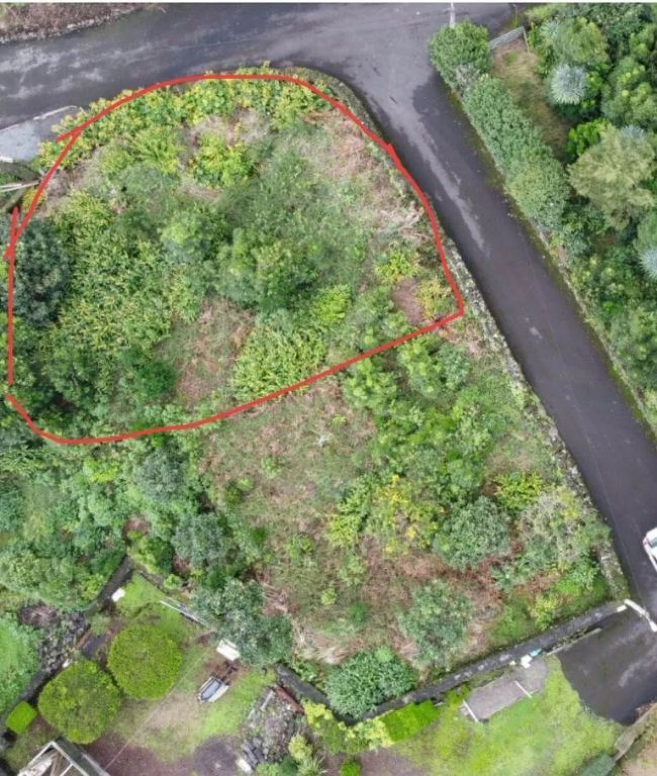 Terreno Agricola ou Rústico para Venda em Lajes do Pico Foto 1