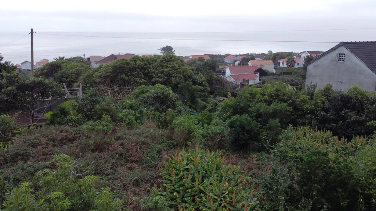 Terreno Agricola ou Rústico para Venda em Lajes do Pico Foto 12