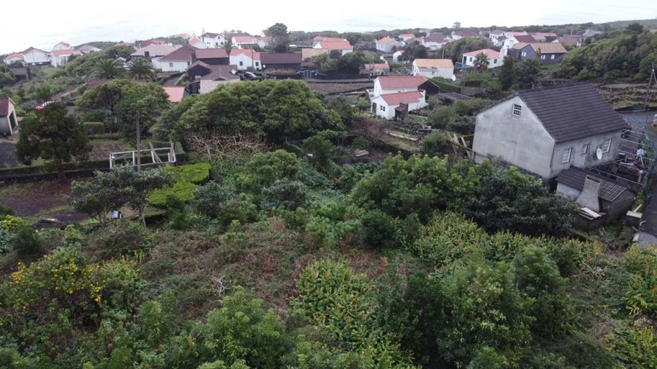 Terreno Agricola ou Rústico para Venda em Lajes do Pico Foto 14