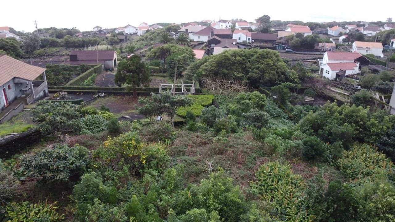 Terreno Agricola ou Rústico para Venda em Lajes do Pico Foto 15