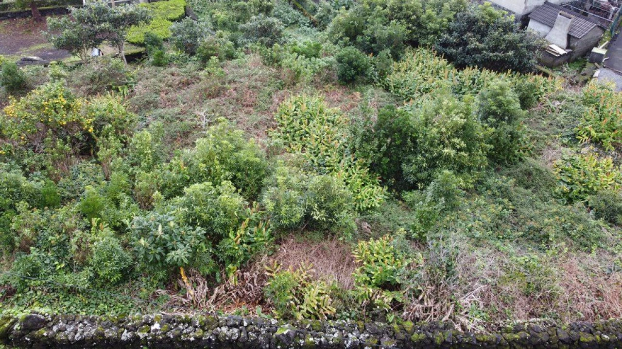 Terreno Agricola ou Rústico para Venda em Lajes do Pico Foto 16