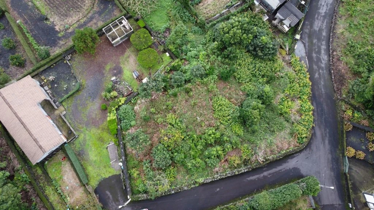 Terreno Agricola ou Rústico para Venda em Lajes do Pico Foto 4