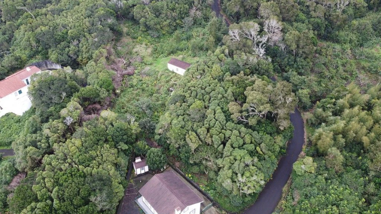Terreno Agricola ou Rústico para Venda em Lajes do Pico Foto 6