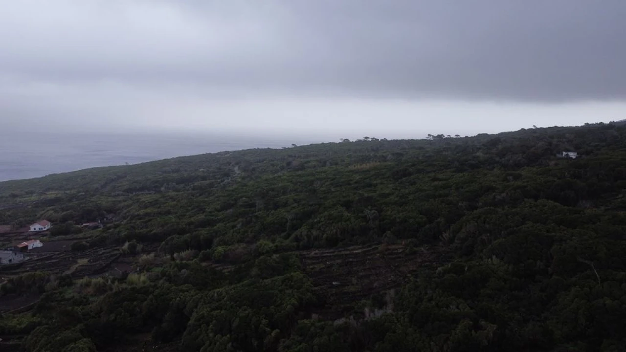Terreno Agricola ou Rústico para Venda em Lajes do Pico Foto 8