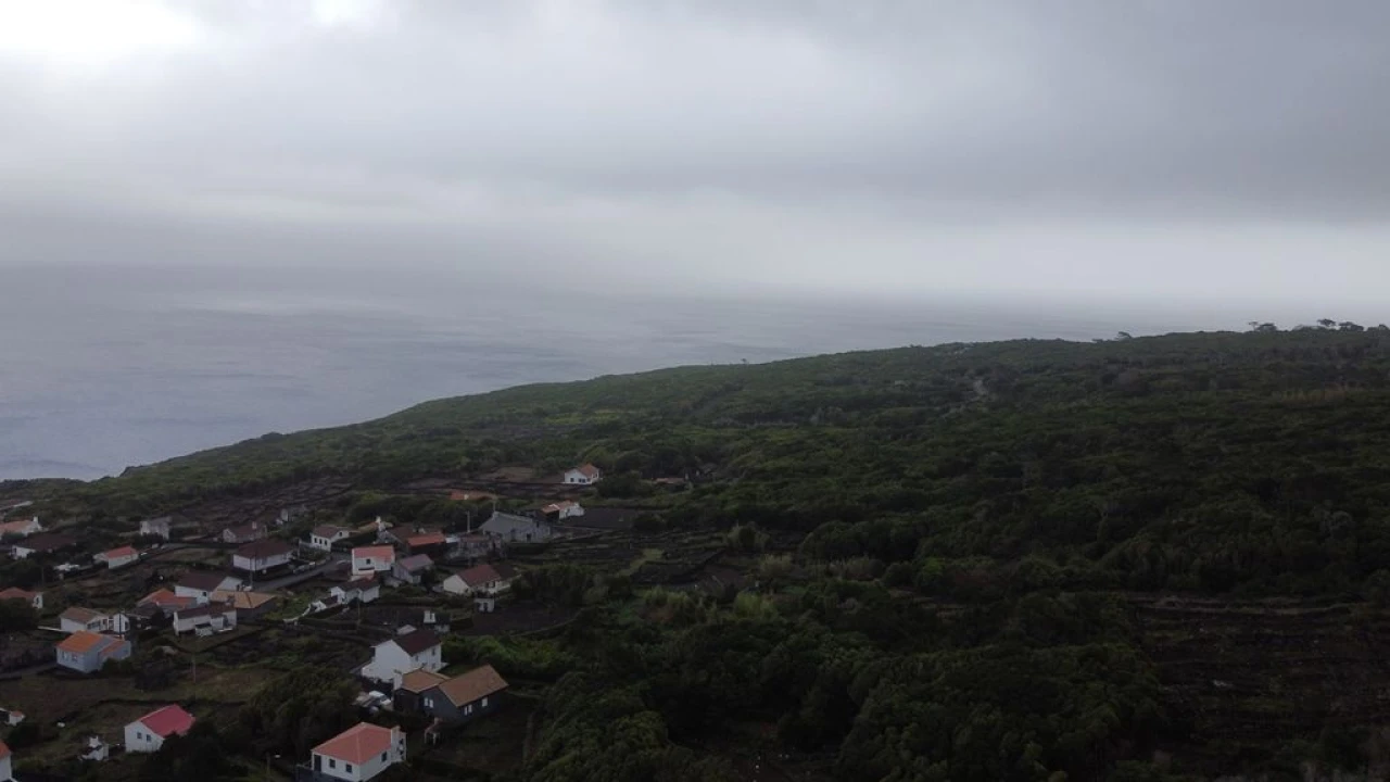 Terreno Agricola ou Rústico para Venda em Lajes do Pico Foto 9