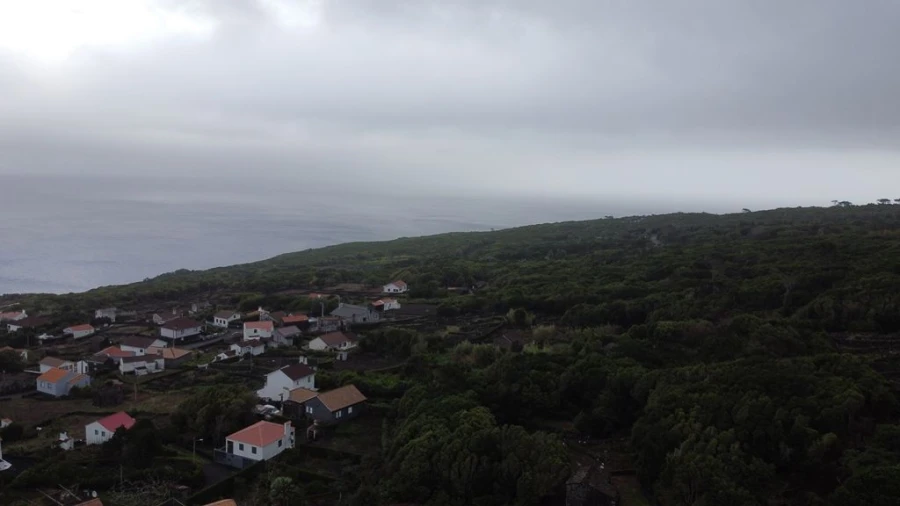 Terreno Agricola ou Rústico para Venda em Lajes do Pico Foto 10