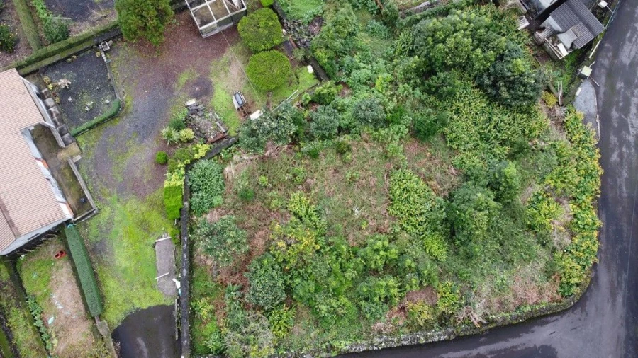 Terreno Agricola ou Rústico para Venda em Lajes do Pico Foto 2