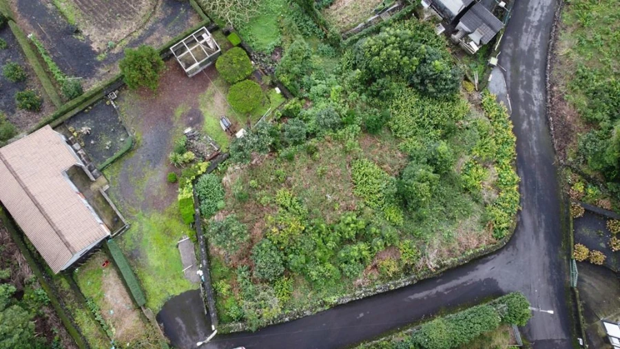 Terreno Agricola ou Rústico para Venda em Lajes do Pico Foto 4