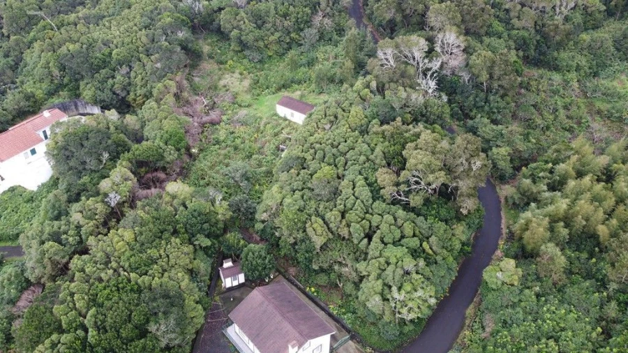 Terreno Agricola ou Rústico para Venda em Lajes do Pico Foto 6