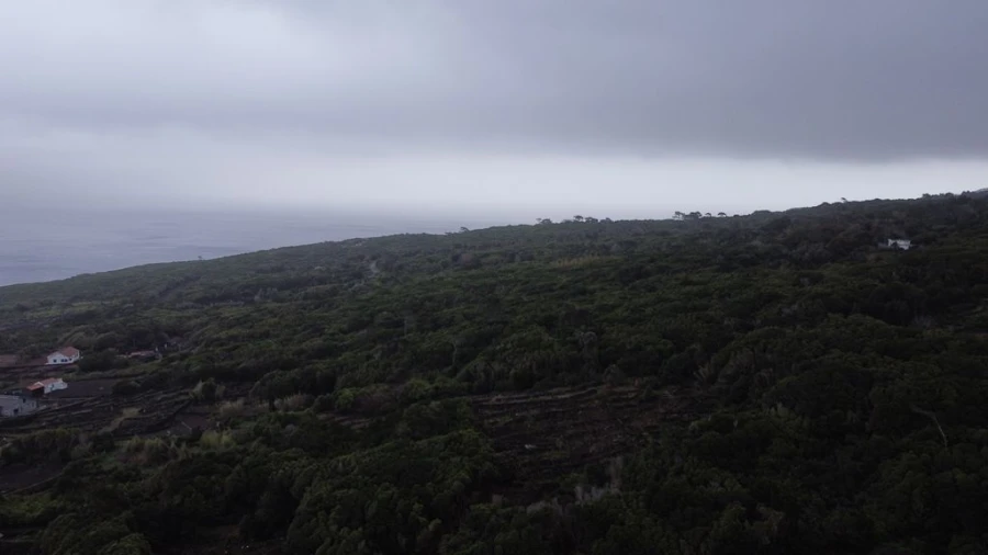 Terreno Agricola ou Rústico para Venda em Lajes do Pico Foto 8