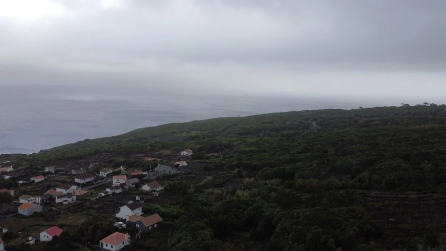 Terreno Agricola ou Rústico para Venda em Lajes do Pico Foto 9