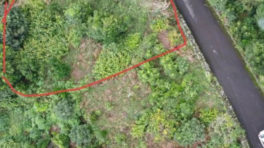 Terreno Agricola ou Rústico para Venda em Lajes do Pico