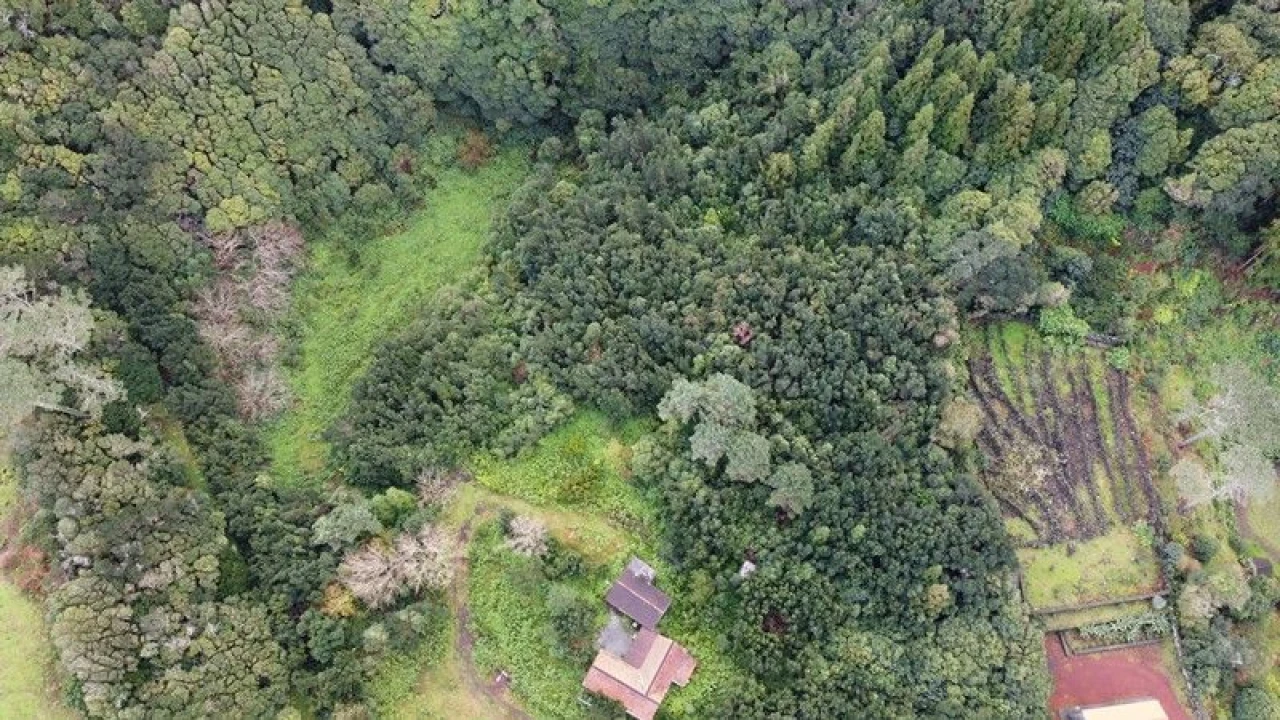 Moradia T5 para Venda em Santo Amaro Foto 3