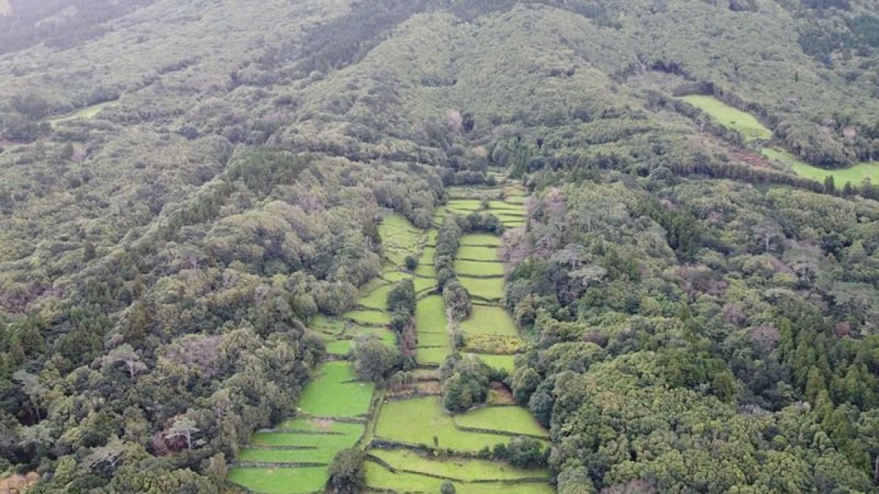 Moradia T5 para Venda em Santo Amaro Foto 8