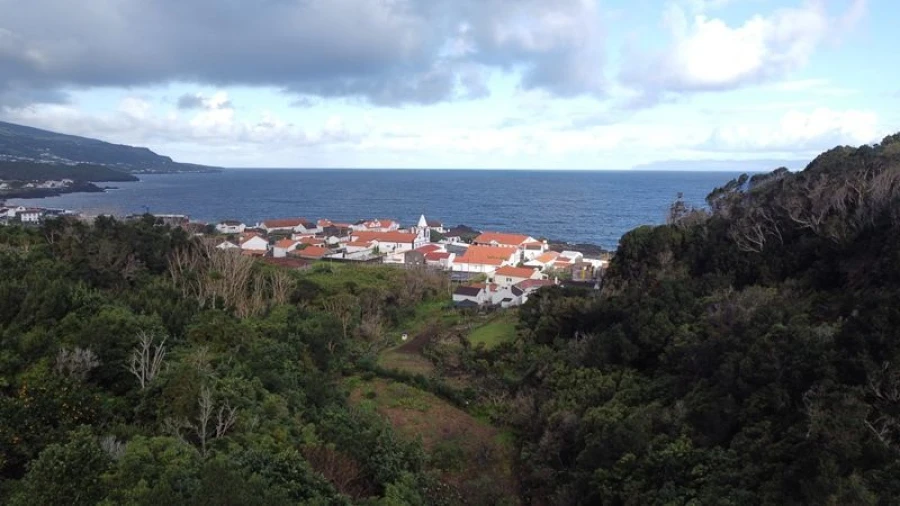 Moradia T5 para Venda em Santo Amaro Foto 25