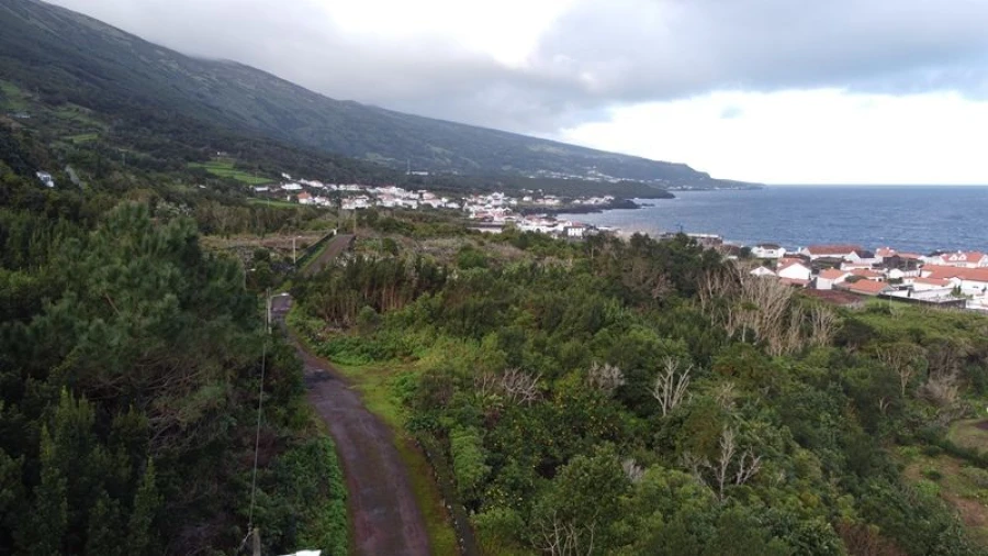 Moradia T5 para Venda em Santo Amaro Foto 5