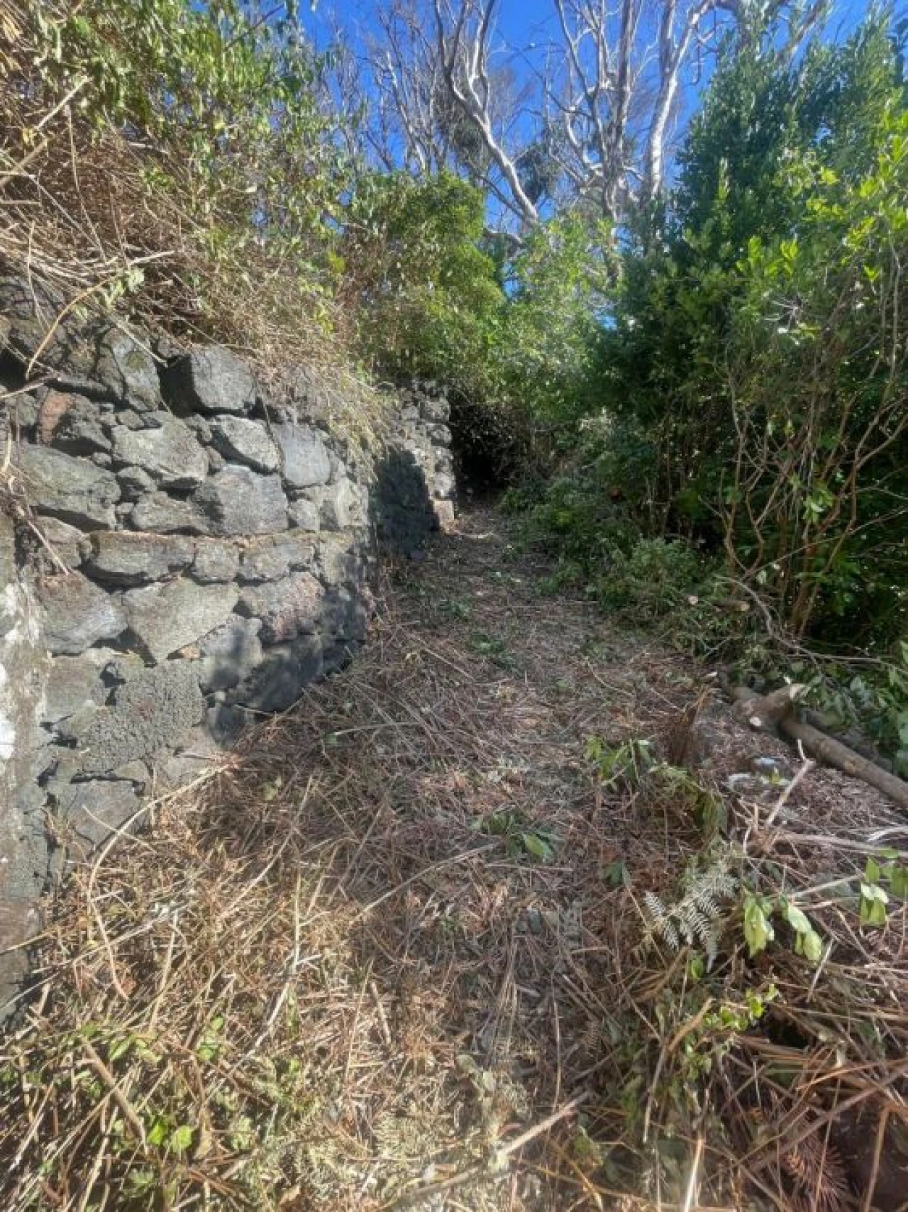 Moradia T5 para Venda em São Roque do Pico Foto 17