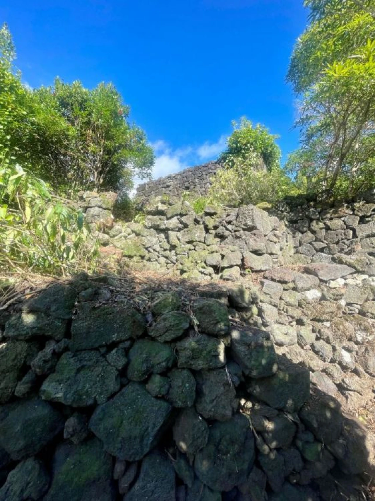 Moradia T5 para Venda em São Roque do Pico Foto 23