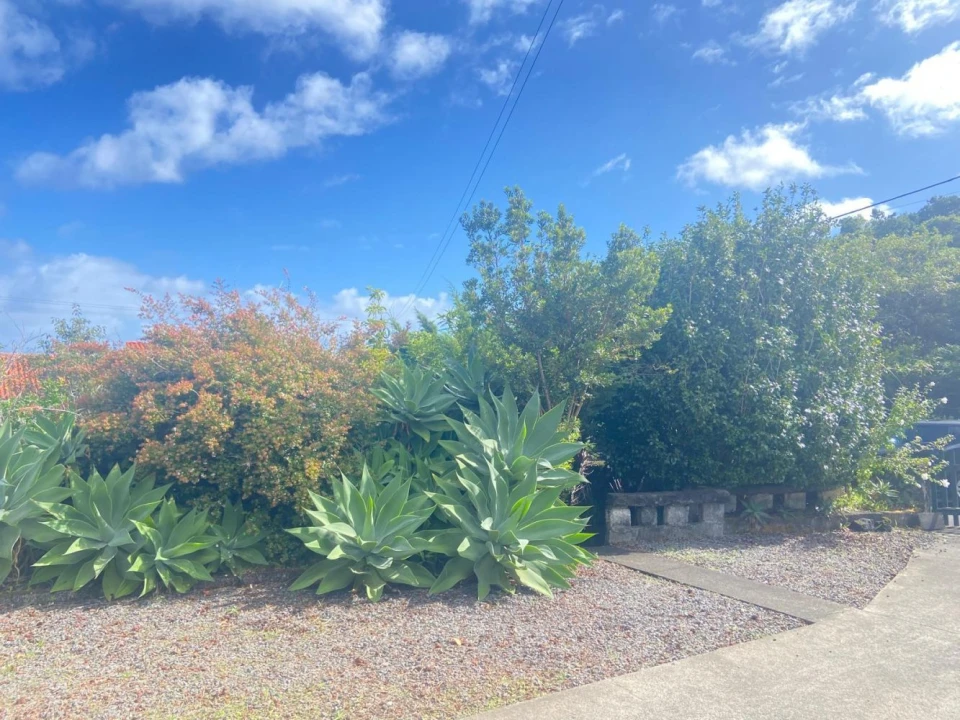 Moradia T3 para Venda em São Roque do Pico Foto 10