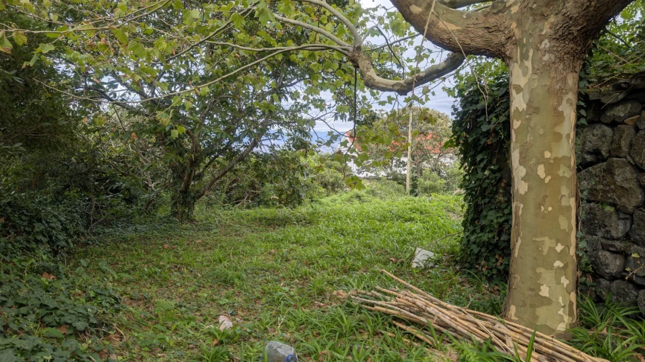 Moradia T3 para Venda em São Roque do Pico Foto 17