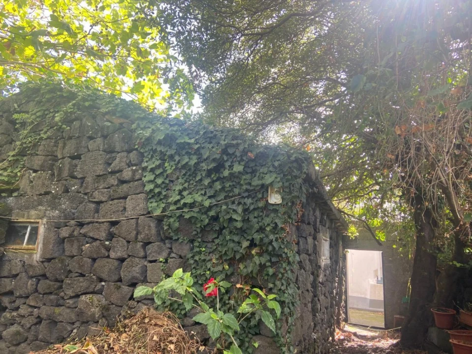 Moradia T3 para Venda em São Roque do Pico Foto 4