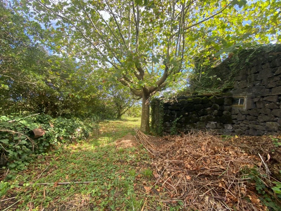 Moradia T3 para Venda em São Roque do Pico Foto 5