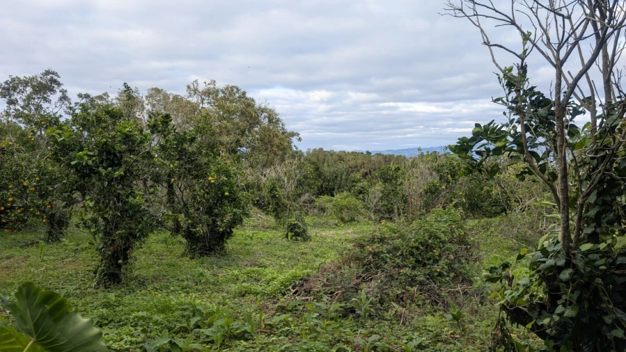 Moradia T3 para Venda em São Roque do Pico Foto 15