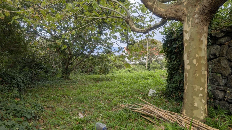 Moradia T3 para Venda em São Roque do Pico Foto 17