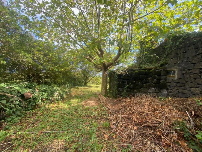 Moradia T3 para Venda em São Roque do Pico Foto 5