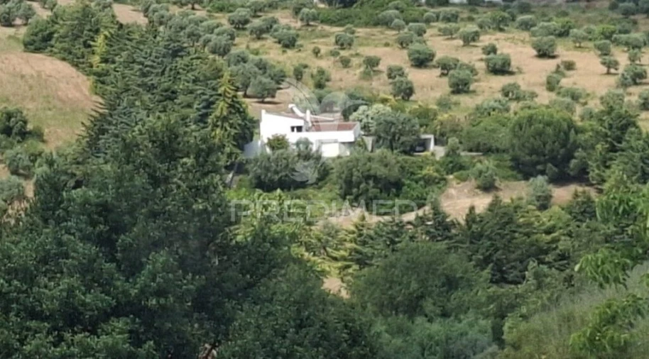 Moradia T4 para Venda em Moçarria Foto 1