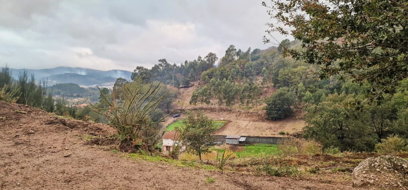 Armazém para Venda em Cantelães Foto 4