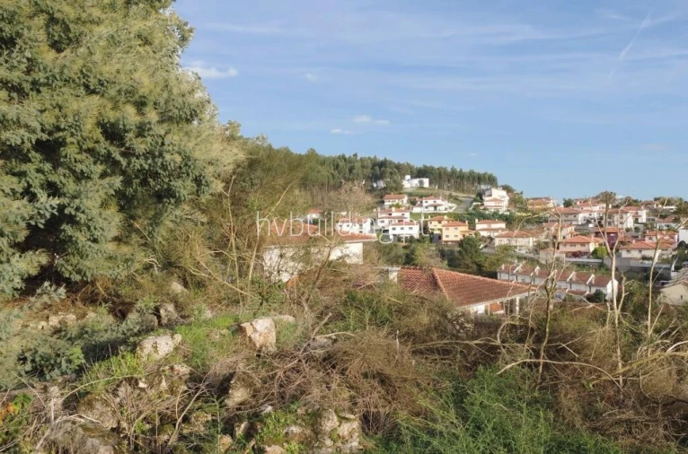 Terreno para Venda em Barroselas e Carvoeiro Foto 12