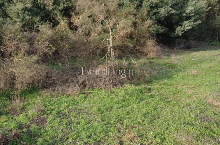 Terreno para Venda em Barroselas e Carvoeiro Foto 10