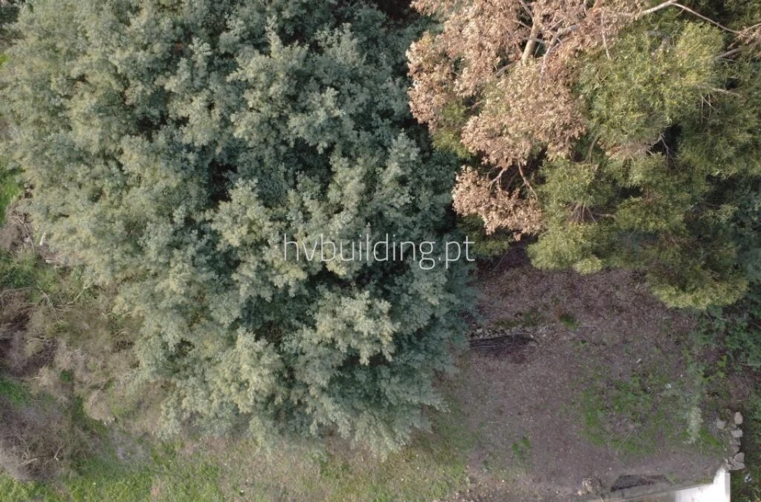 Terreno para Venda em Barroselas e Carvoeiro Foto 8