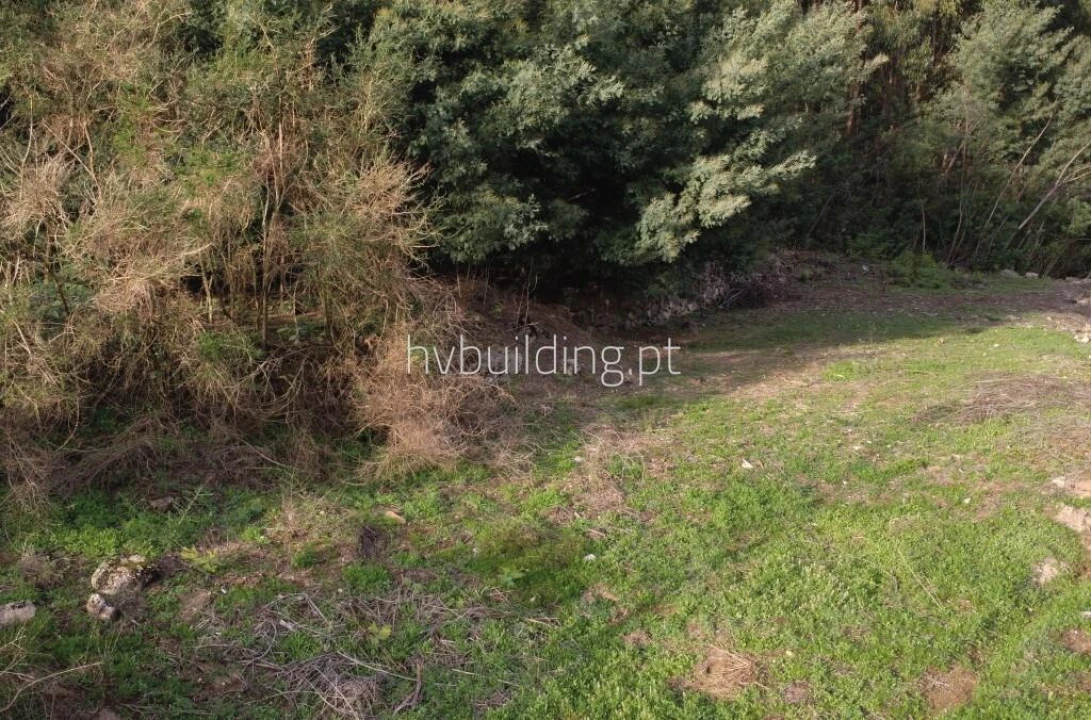 Terreno para Venda em Barroselas e Carvoeiro Foto 9
