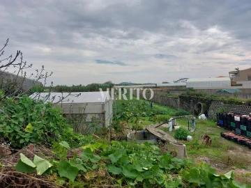 Moradia T4 para Venda em Póvoa de Varzim, Beiriz e Argivai