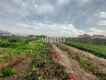 Moradia T4 para Venda em Póvoa de Varzim, Beiriz e Argivai