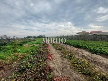Moradia T4 para Venda em Póvoa de Varzim, Beiriz e Argivai