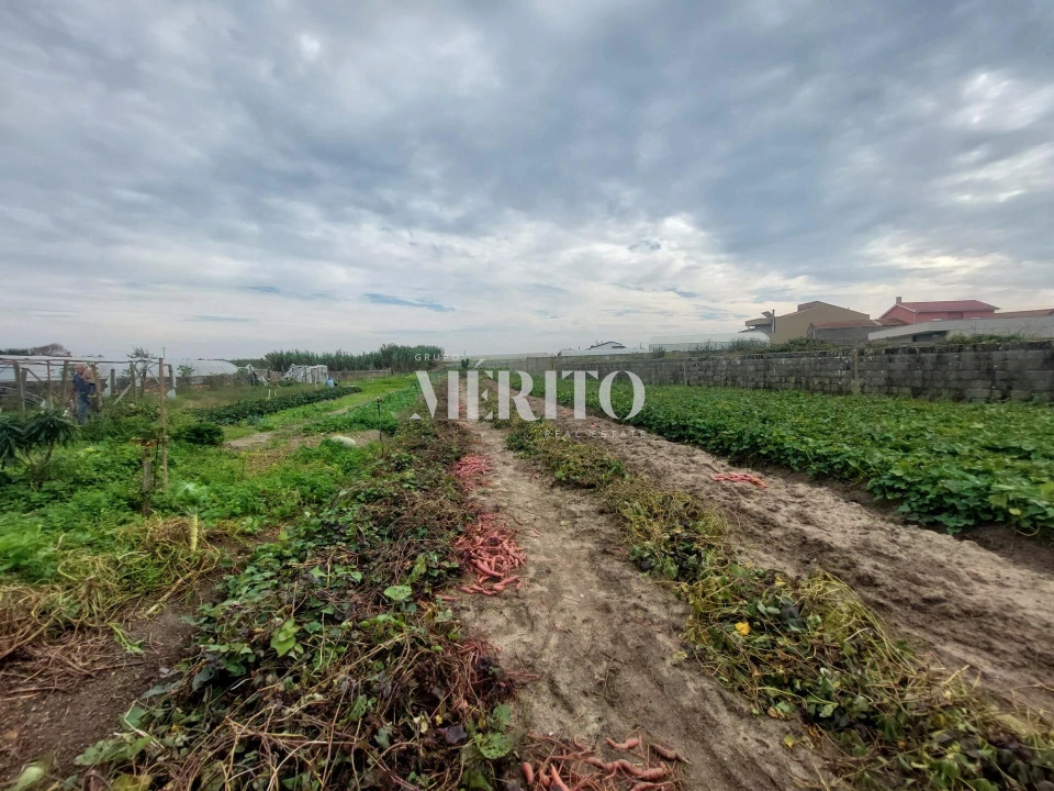 Moradia T4 para Venda em Póvoa de Varzim, Beiriz e Argivai Foto 1