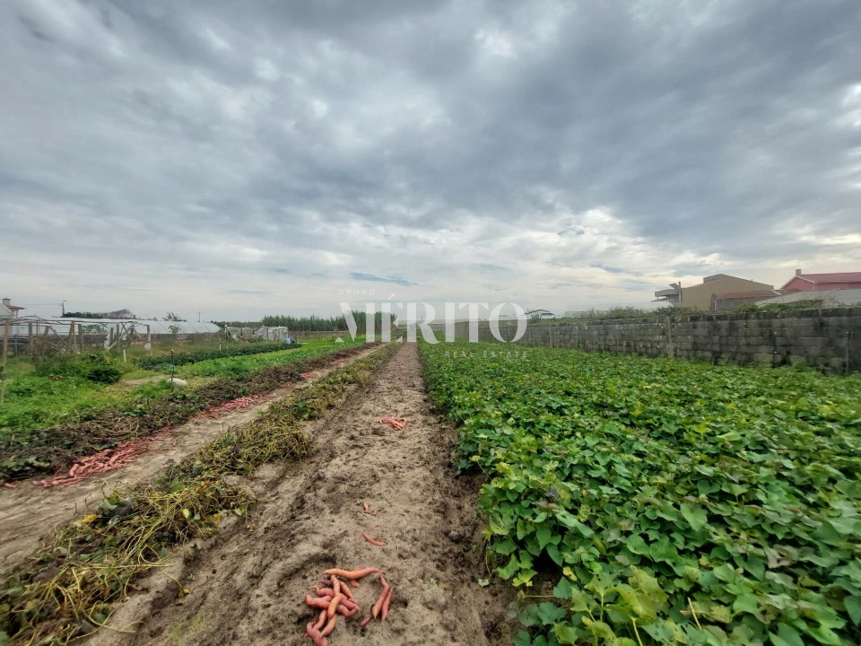Moradia T4 para Venda em Póvoa de Varzim, Beiriz e Argivai Foto 3