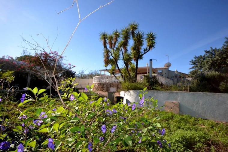 Moradia T2 para Venda em Boliqueime Foto 40