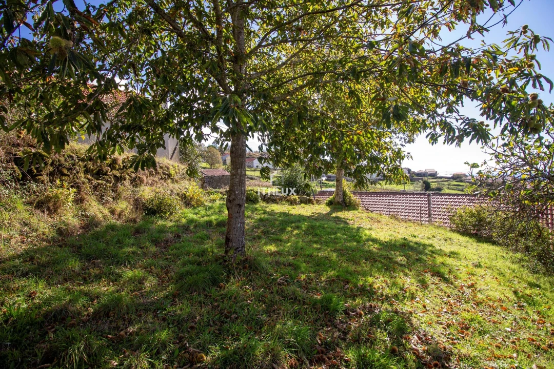 Moradia T3 para Venda em Picão e Ermida Foto 18