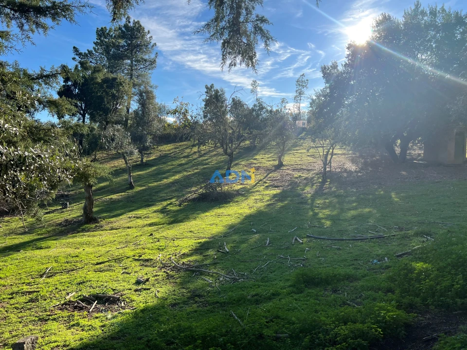 Moradia T4 para Venda em Salgueiro do Campo Foto 35