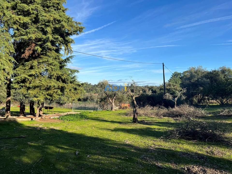 Moradia T4 para Venda em Salgueiro do Campo Foto 34