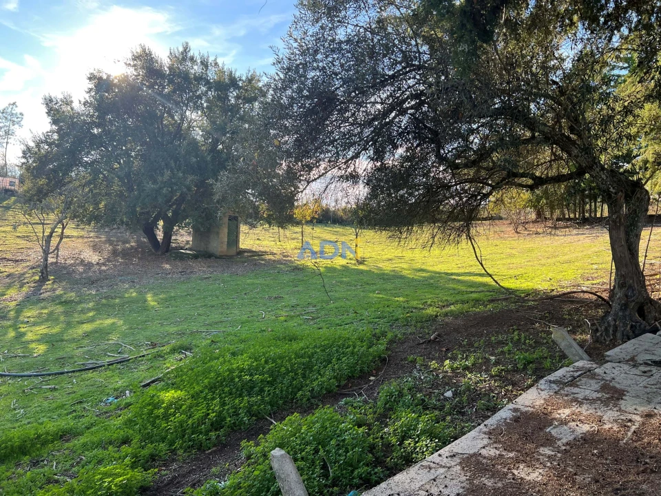 Moradia T4 para Venda em Salgueiro do Campo Foto 32